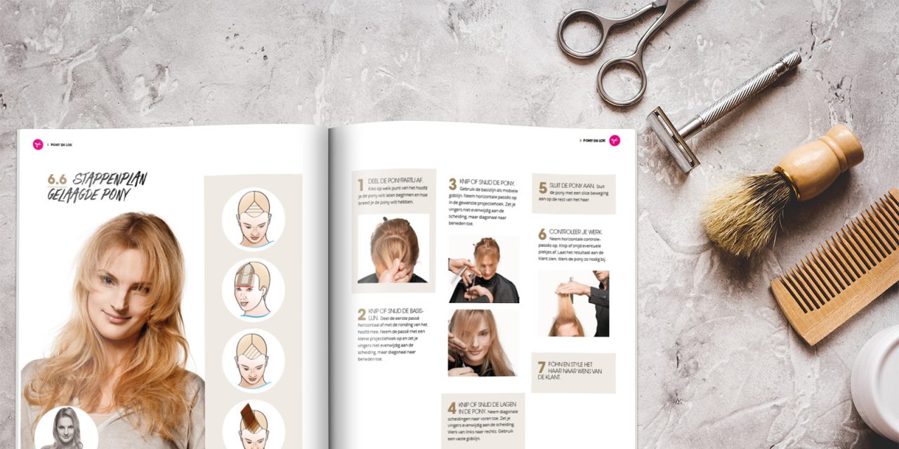 Stappenplan Hairlevel Stappenplan Hairlevel